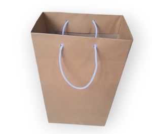 Paperbag polos isi 20pcs BONUS 2pcs uk 30x16x10 bisa untuk bingkisan ultah cemilan souvenir dll..