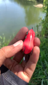 [PAL LURE] Soft Frog Killer Umpan Casting Gabus 4 cm dan 37 cm - Kodok Karet Umpan Gabus Paling Gacor