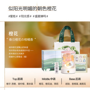 New Year Gift Aromatherapy Diffuser Stone Lamp Box Wedding Birthday Present for Best Friend Citrus Scattered Aromatic Stone