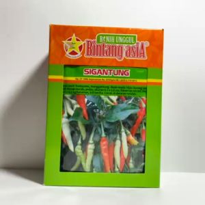 Benih Cabe Cabai Rawit SIGANTUNG Isi 10 gram Benih Bintang Asia