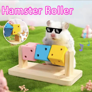 1 pet items Hamster toy items Rainbow pet ladder Wooden hamster toy saucer toy Fun Rubiks cube Golden Silk Bear escape house