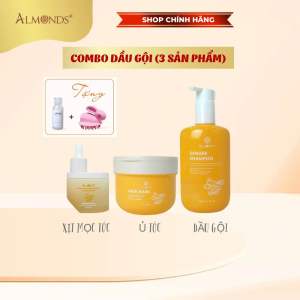 Bộ Dầu Gội Gồm Dầu Gội Ủ Tóc Kích Mọc Tóc Chiết Xuất Gừng Hỗ Trợ Sạch Gàu Mượt Tóc