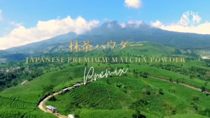 [ HALAL ] SBK Japanese Premium Matcha Powder Premix｜Serbuk Matcha Jepun PraCampur｜500g