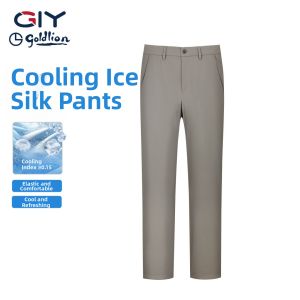 GYgoldlion | Cooling Stretch Breathable Slim Straight Mens Pants