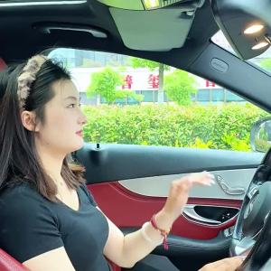 Car Electrostatic Side Sun Shade Curtains Foldable Side Window Sunshade Thicken Anti Glare UV-Reflective Sun Protection Curtain