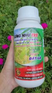 [Freeship Max] Phân bón lá chống đổ ngã lúa nếp CỨNG NHƯ TRE chai 500ml_ THIEN THINH SHOP