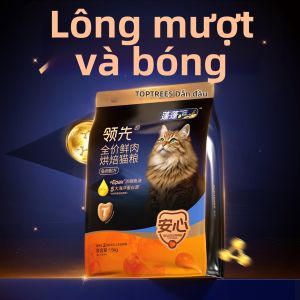 Toptrees | Thức Ăn Cho Mèo Tất Cả Giai Đoạn Chăm Sóc Sức Khỏe Dạ Dày