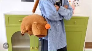 Túi Đeo Chéo Hình Capybara Lông Mềm Siêu Dễ Thương – Ba Lô Mini 2 Kiểu Đeo Đáng Yêu Hot Trend