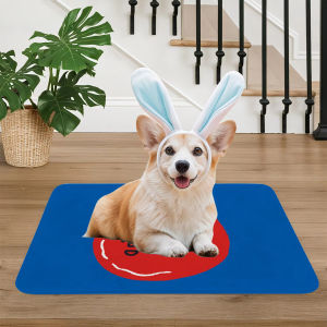 พรมฟลานเนล VIKAMA สำหรับห้องน้ำ ซับน้ำได้ดี ทำความสะอาดง่าย ป้องกันคราบสกปรก ใช้ปูพื้นทางเดิน ประตูบ้าน ตกแต่งบ้าน