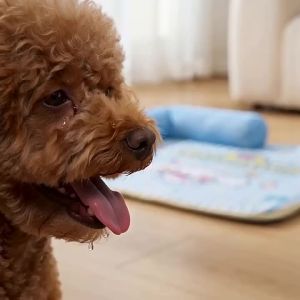 hipidog | Waterproof Removable Neck Protecting Scratch-Resistant Pet Cooling Mat