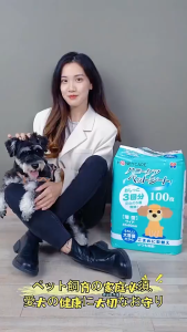 Honeycare Pet Pads Super Absorbent Japanese Package Economical