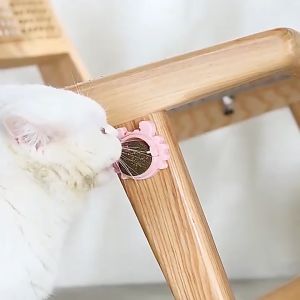 [iRojak] Rotatable Pet Catnip Licking Ball Wall Toys Grass Mint Ball Snacks 猫薄荷 Mainan Makanan Kucing - PT01