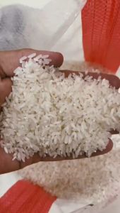 (SPECIAL SALE LAZADA!!) Promoo beras setra ramos pulen bebas kutu bersih 5 10 15 20 kg liter