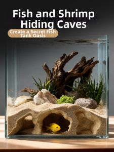 DABINGYANG | Aquarium Decor Set Ornament