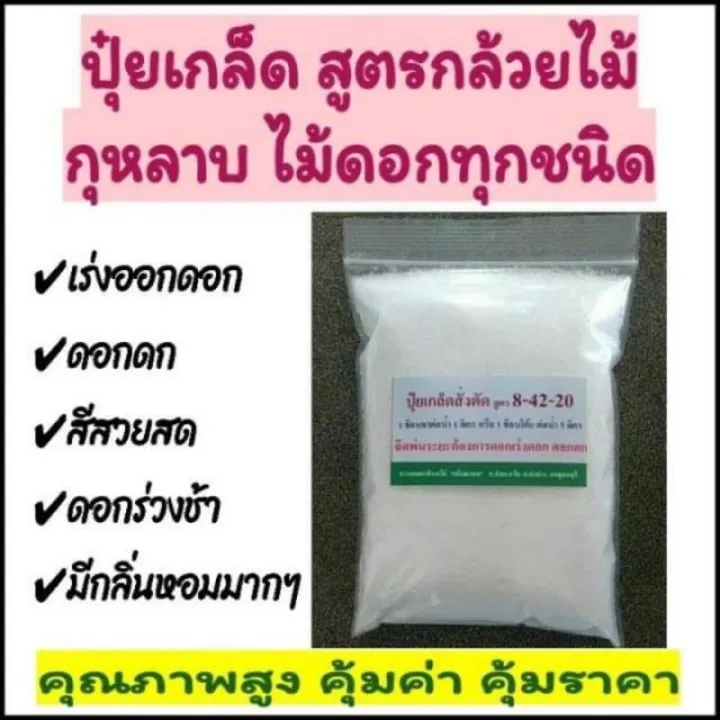 6 อันดับปุ๋ยกล้วยไม้และไม้ดอกที่ดีที่สุดประจำปี 2025 ดอกดก สีสวย ต้นแข็งแรง!
