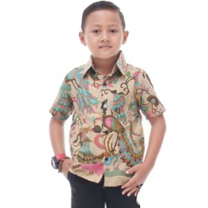 KEMEJA BATIK ANAK LAKI-LAKI LENGAN PENDEK | Kemeja Batik Anak - batik anak - baju batik anak laki-laki umur 2 sampai 10 tahun hem batik anak - bisa bayar ditempat
