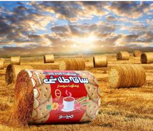 Protein Biscuit Whole wheat (digestive)crunchy snackfull protein Tasty low sugar biscuitnew stock