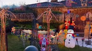 City Goods 62 Leds Pixel String Fairy Lights Romantic for Valentines DayWeddingChristmas Decor