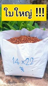 ถุงเพาะชำสีขาว ขนาด 14x22 นิ้ว จำนวน 5 กก. ไม่เจาะรู