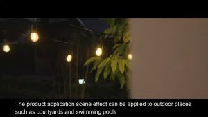 Dây đèn led trang trí ngoài trời dùng cho quán cà phê trà chanh trà sữa 10m 20 bóng 5m 10 bóng