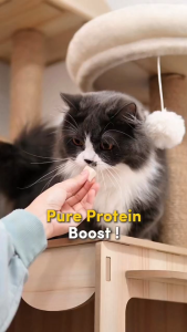 EZPET Freeze Dried Pet Treats - Chicken Protein Booster 120g /450g Premium Pet Treats Booster Gemuk Pet Food 猫冻干