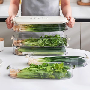 Food Grade Vegetable Storage Box  Keeping Container Refrigerator Organizer for Scallions Cilantro Garlic And Noodles