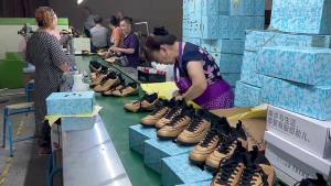 CXC Track Shoes: A Comprehensive Guide