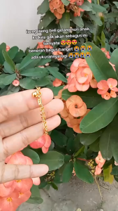 Gelang Nori Titanium Anak & Dewasa Gold Bracelet awet tahan lama