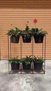 สวนแนวตั้ง ชั้นวางต้นไม้ วางพื้นได้เลยไม่ต้องเจาะ พร้อมกระถาง 10นิ้ว 6ใบ กว้าง 80 ซม.สูง 87ซม. ออกใบกำกับภาษีได้ ต้นไม้ปลูกแนวตั้ง ต้นไม้ปลูกแนวตั้ง ขนาด ต้นไม้ปลูกแนวตั้ง ราคา - Lazada