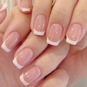 24 Short Square French Simple White Edge Nails +1 Nail Glue +1 Nail File