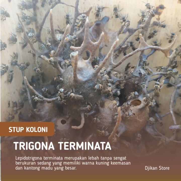 Yetuk sargish yalangoch fotosuratlar Xususiy anal porno rasmlar