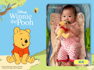 Nookums Buddies Paci Plushies Pacifier Plush Boneka Gantungan Empeng