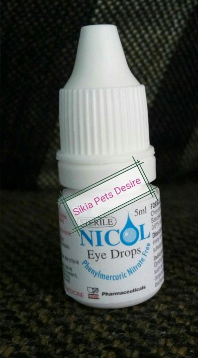 UBAT MATA EYEDROPS WITH ANTIBIOTICS FOR CATS DOGS Antibiotic Eye