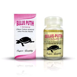 Minyak Bulus PD Eyang Laut Kemasan Dus Super Quality