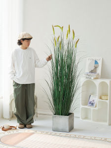 LIANYOU | Luxurious Decorative Artificial Dog Tail Grass 仿生高级狗尾巴草假花