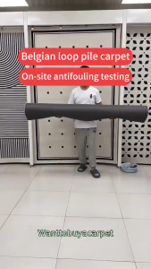 🔥[SG Carpet] Care-Free Disposable Carpet 2025 New Style Light Luxury High-End Living Room Large Area Full Floor Mat