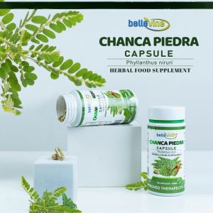 Bellevine Chanca Piedra 500mg x 100 Capsules | Phyllanthus Niruri Food Supplement for Kidney Health & Detox