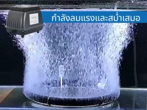 VAT🔥Bonetar ปั้มลม HP-90 HP-180 HP-300 airpump ปั๊มลมบ่อปลา ปั๊มออกซิเจน เหมาะสำหรับตู้ปลาและบ่อปลา ปั๊มลมบ่อปลาเสียงเงียบ
