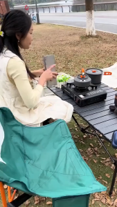 Foldable Stove Windshield/Portable Camping Burner Blocker/10 16 Plates Aluminum Alloy Wind Shield/Outdoor Wind Blocker