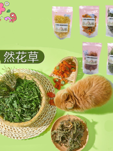 Chinese Style Hamster Snacks Hair Beautifying Mouse Food Water Soaking Fire Cooling Golden Retriever Bear Pet Food Toy Decoration