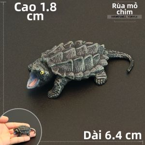 MENGSILE | Mô Hình Đồ Chơi Cá Sấu Rùa Thực Tế