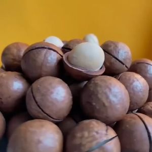 Roasted Macadamia Nuts Creamy Nuts Snacks Ready to Eat of Nuts 500g