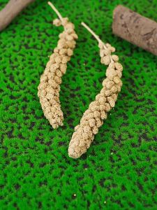 Kê sợi - giúp mượt lông dày lông (dành cho hamster đuôi mập sóc chim) - T3 PETS SHOP