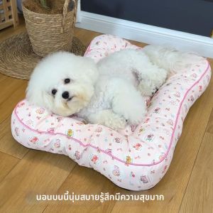 Petone dOrage | Pet Cooling Waterproof Slip-resistant Pad