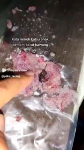 Cap Lang Minyak Kayu Putih Plus 120 ml