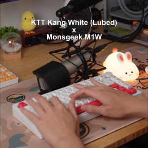 Lubed Krytox KTT Kang White Switches for mechanical keyboard