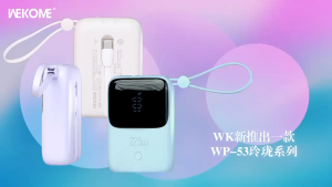 Wekome Linon WP-53 10000mAh Portable 22.5W Fast Charge Build in Cable Type C LED Display Battery Small Powerbank 3C certified CCC