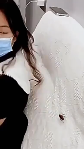 【Super Discount】Cockroach killer cockroach repellent cockroach trap plant ingredients杀蟑饵剂