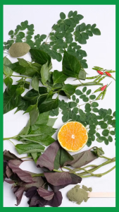 Power Herbs Blends of 5 Food Supplement Capsules