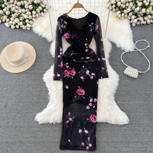 Spring and Autumn Lightweight Chic V-Neck Long Sleeve High Waist Slim Fit Midi Dress with Leoxo Print Gauze Netting and Ruched Bodycon Silhouette for Women